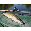 Бейткастинг макара Filstar Sting 101L