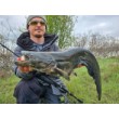 Силикон SeaBuzz Turbo Shad