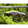 Rapala Harvest Shad