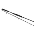 Filstar Blue Fish Spin Fishing Rod