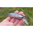 Wobbler Sea Buzz The Catcher