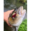 Sea Buzz Chub Bug Wobbler