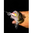 Sea Buzz Chub Bug Wobbler