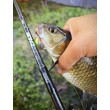 Sea Buzz Chub Bug Wobbler