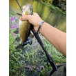 Sea Buzz Chub Bug Wobbler