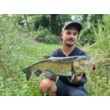Sea Buzz Chub Bug Wobbler