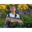 Sea Buzz Chub Bug Wobbler