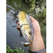 Sea Buzz Chub Bug Wobbler