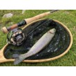 FilStar Meridian Fly Reel