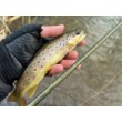 Въдица FilStar Nomad Fly Nymph