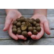 Топчета DB Hot Fish & GLM boilies