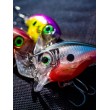 Wobbler BX Brat