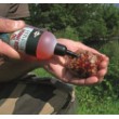 Oiluri Evolution Attractant