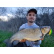 Воблер Rattlin’ Hornet Shallow