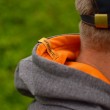 DB Hoodie