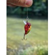 Sea Buzz Chub Bug Wobbler