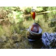 Sea Buzz Chub Bug Wobbler