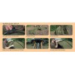 Fox Frontier XD Tent