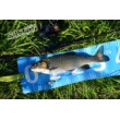 Aglia Long Cast