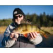 Воблер Rapala Shad Rap Elite