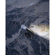 Воблер Rapala Shad Rap Elite