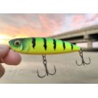 Rapala Precision Xtreme Pencil