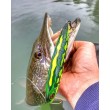 Rapala Precision Xtreme Pencil