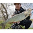 Воблер Minnow - потъващ