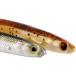 Silicone Westin KickTeez Shadtail