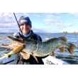 Воблер Rapala Super Shadow Rap Glide