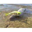 Воблер Rapala Super Shadow Rap Glide