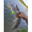 Воблер Rapala Super Shadow Rap Glide