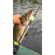 Воблер Rapala Super Shadow Rap Glide
