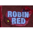 Nadă DB Robin Red Method Mix