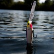 Miner de aur Wobbler Rapala