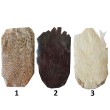 Scalp de muște - Nevopsit