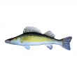 Pernă Zander