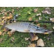 Sea Buzz Sparky Crank wobbler