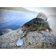 Спинер Westin DropBite Tungsten Spin Tail Jig