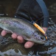 Воблер Shimano ZN-245X Cardif Refrai