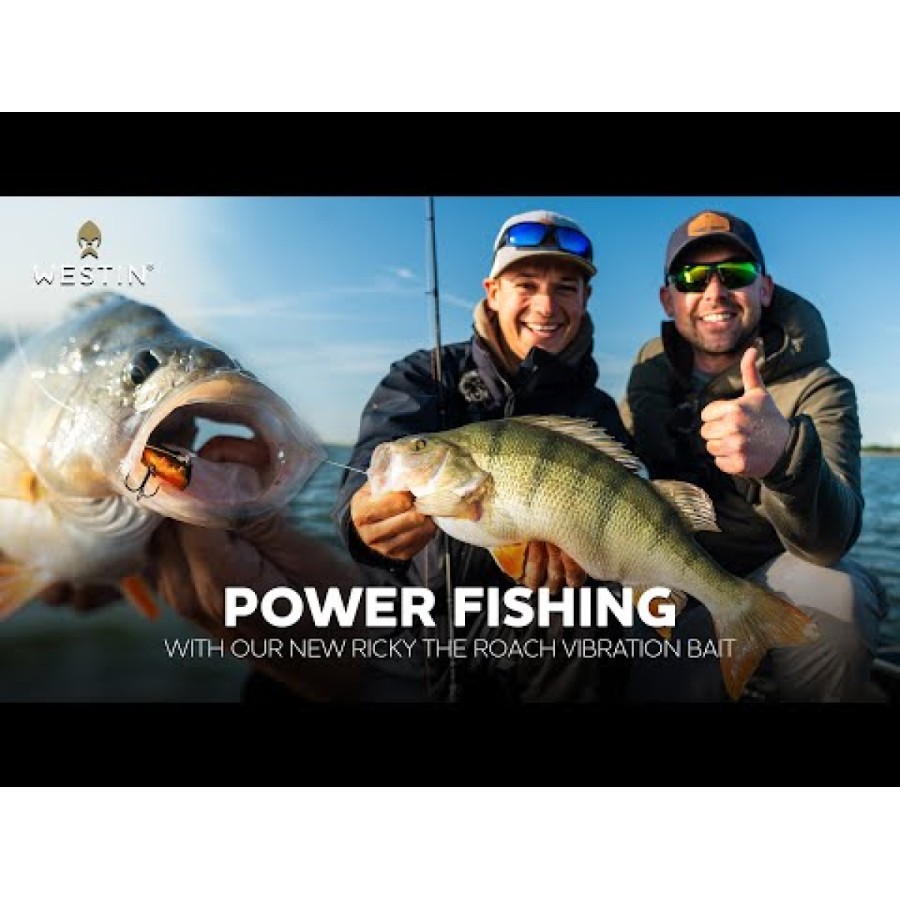 Волфрамовa цикада Westin Ricky The Roach Tungsten Vibration Bait