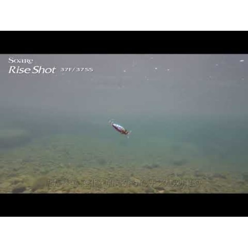 Shimano Soare Rise Shot 37F