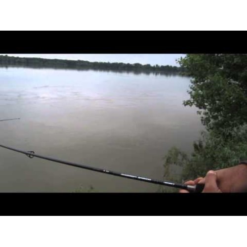 Black Shadow Spinning Rod
