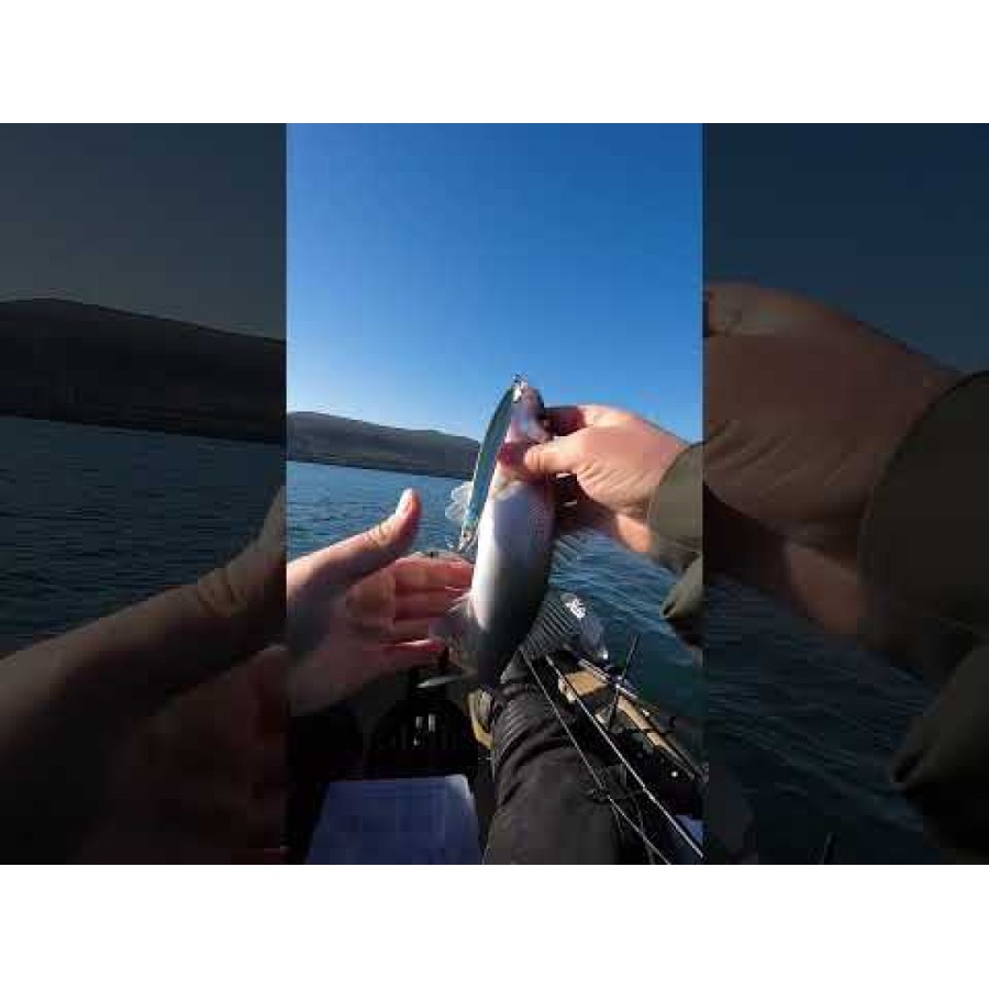 Воблер Westin Sandy Fixed SBass