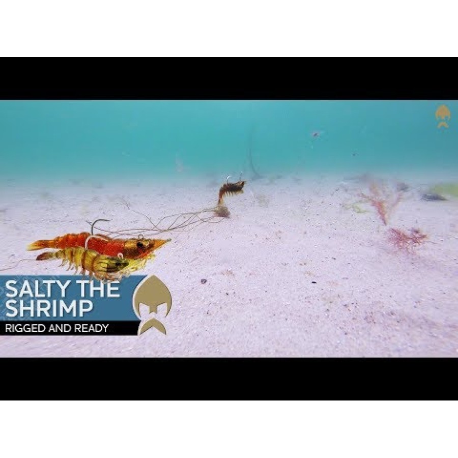 Westin Salty The Shrimp R'N R