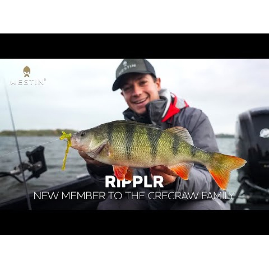 Σιλικόνη Westin CreCraw Ripplr Creaturebait