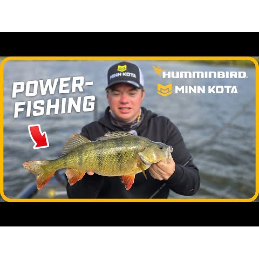 Motor electric Minn Kota Riptide Instinct Quest de 90/115 lb