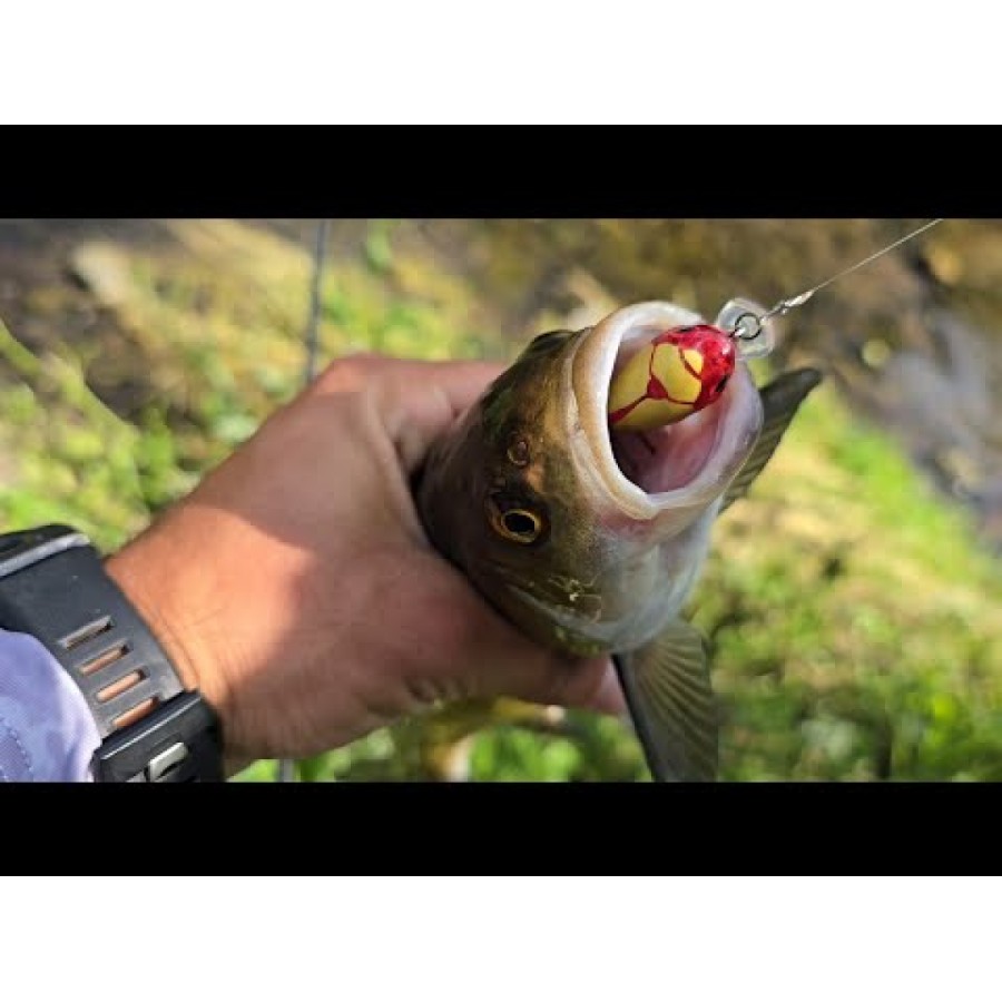 Sea Buzz Chub Bug Wobbler