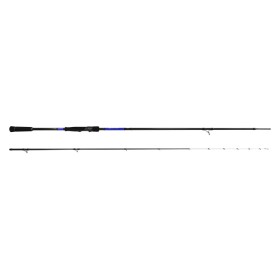 Καλάμι ψαρέματος Filstar SS Stick