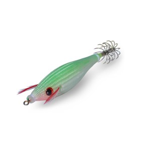 DTD Color Glavoc